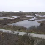 木屋 Luxus Duenen Aan Zee I Ruhig In Den Duenen I 400 M Zum I 4 Personen 艾默伊登