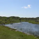 Luxus Duenen Aan Zee I Ruhig In Den Duenen I 400 M Zum I 4 Personen 木屋 *