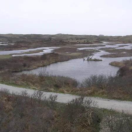 Alpehytte Luxus Duenen Aan Zee I Ruhig In Den Duenen I 400 M Zum I 4 Personen IJmuiden