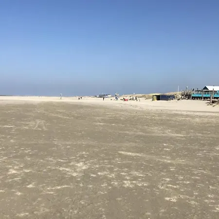 Alpehytte Luxus Duenen Aan Zee I Ruhig In Den Duenen I 400 M Zum I 4 Personen IJmuiden