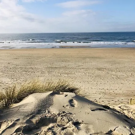 Luxus Duenen Aan Zee I Ruhig In Den Duenen I 400 M Zum I 4 Personen *