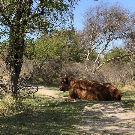 Luxe Marbella Aan Zee