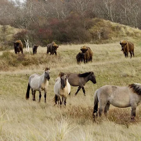 Luxe Marbella Aan Zee