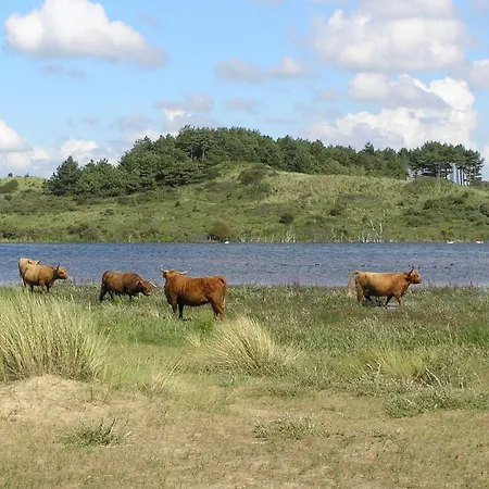 Luxus Duenen Aan Zee I Ruhig In Den Duenen I 400 M Zum I 4 Personen IJmuiden