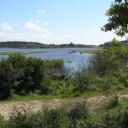 Domek alpejski Luxus Duenen Aan Zee I Ruhig In Den Duenen I 400 M Zum I 4 Personen