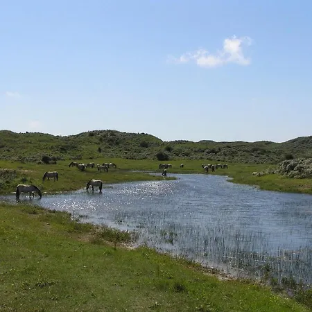 Luxus Duenen Aan Zee I Ruhig In Den Duenen I 400 M Zum I 4 Personen Domek alpejski *