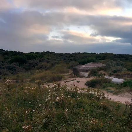 Luxus Duenen Aan Zee I Ruhig In Den Duenen I 400 M Zum I 4 Personen * IJmuiden