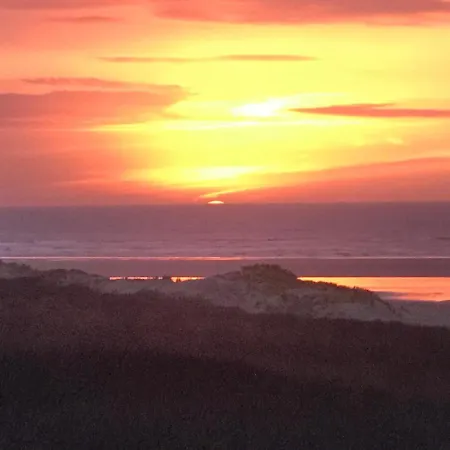 Domek alpejski Luxus Duenen Aan Zee I Ruhig In Den Duenen I 400 M Zum I 4 Personen *